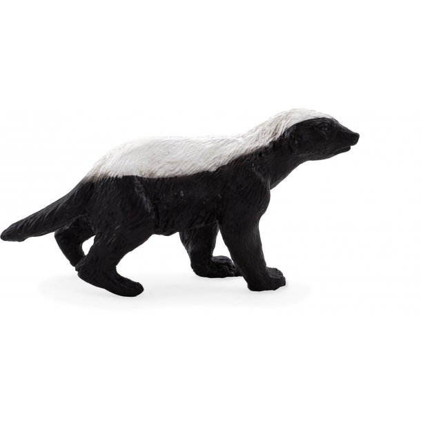 Mojo Badger Male