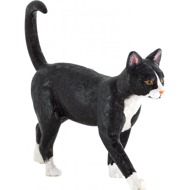 Mojo Cat