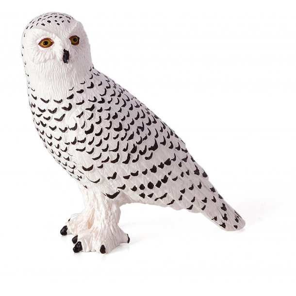 Mojo Snow Owl