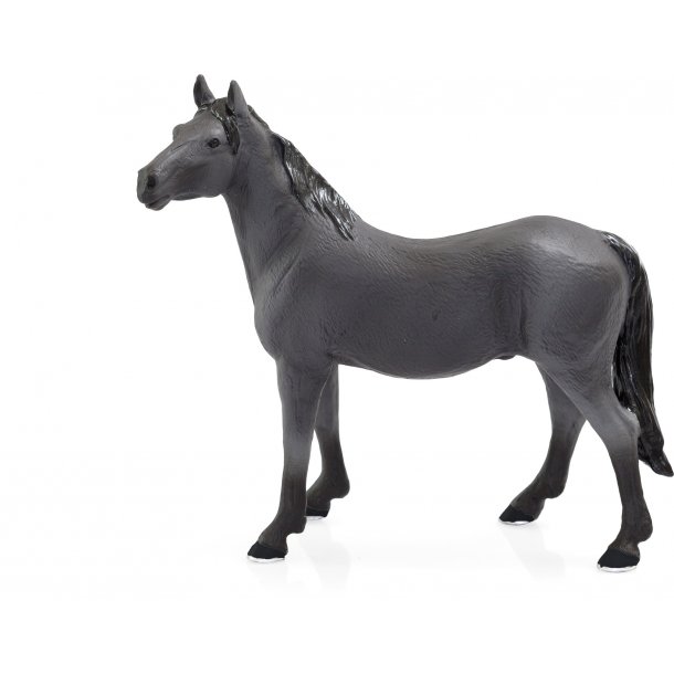 Mojo Orlov Trotter Horse