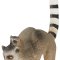 Mojo Lemur med Unge