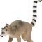 Mojo Lemur med Unge