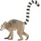 Mojo Lemur med Unge