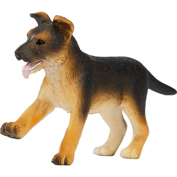 Mojo Schfer Hundvalp