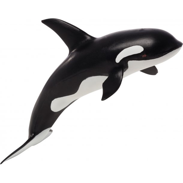 Mojo Great Killer Whale