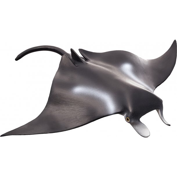 Mojo Manta Ray