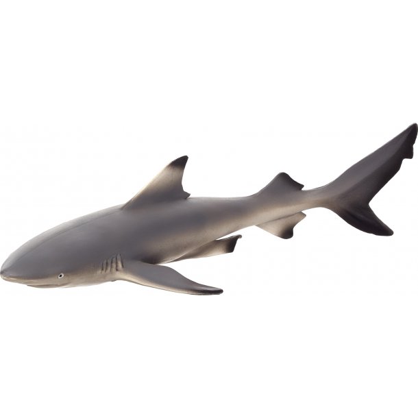 Mojo Black-tipped Reef Shark