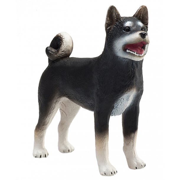 Mojo Shiba Inu Dog, black
