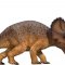 Mojo Triceratops