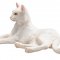 Mojo Cat Lying, White