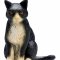 Mojo Cat Sitting, Black / White