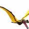 Mojo Tropeognathus