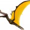 Mojo Tropeognathus