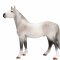 Mojo Orlov Trotter Horse