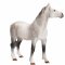 Mojo Orlov Trotter Horse