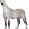 Mojo Orlov Trotter Horse