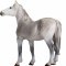 Mojo Orlov Trotter Horse