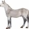 Mojo Orlov Trotter Horse