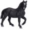 Mojo Percheron Hst