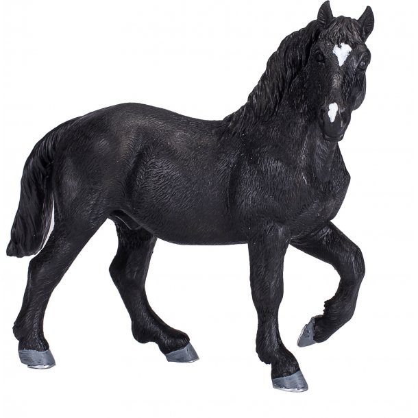 Mojo Percheron Hst
