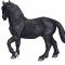 Mojo Percheron Hst