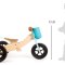 small foot Balance bike 2 in 1, Trike Maxi / Turquoise