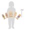 small foot Puzzle in layers, Anatomy/Girl