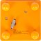 small foot Music Box, Dancing Mice